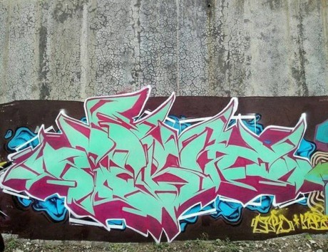 12528712_10204301544376994_1907385321_o