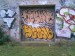 Graffiti-Throw-Up